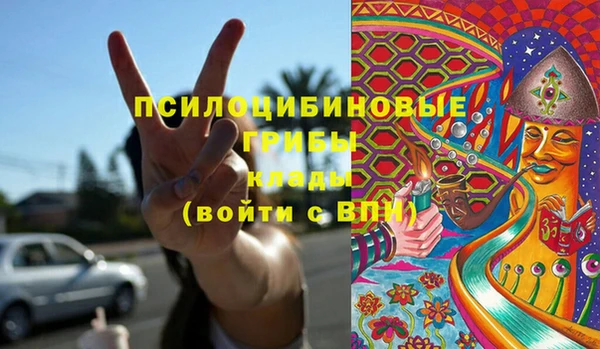 МДПВ Алзамай